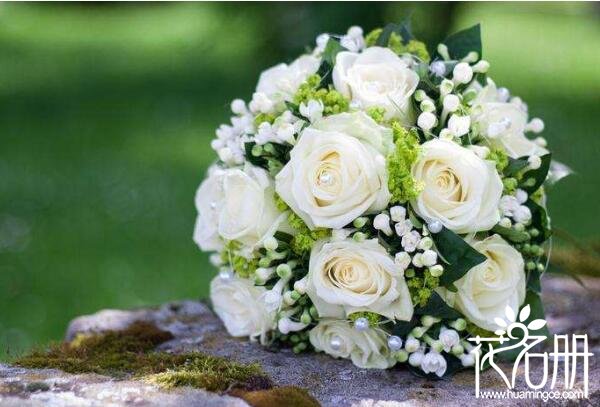 21朵白玫瑰的花语是什么，纯洁真挚的爱