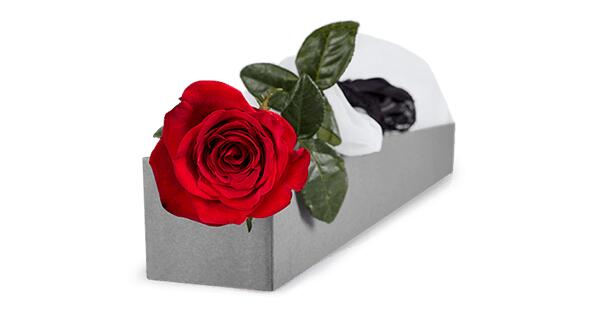 红玫瑰多少钱一支,价位5-15元(永生花699一支)