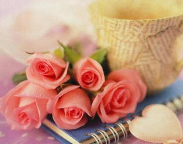 11朵玫瑰代表什么意思,今生最爱还是你- 花语网