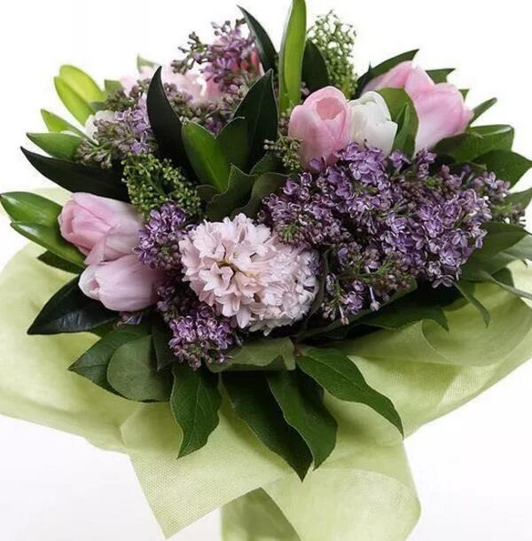 什么花代表高贵优雅，帝王花和紫色郁金香