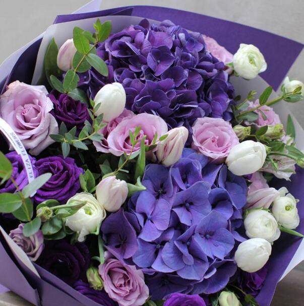 紫绣球花花语是什么，无情和残忍