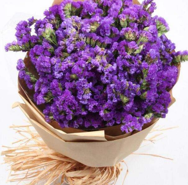 紫色勿忘我花语是什么 浓情厚谊 花语网