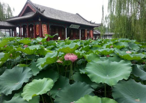 大明湖花卉馆图片