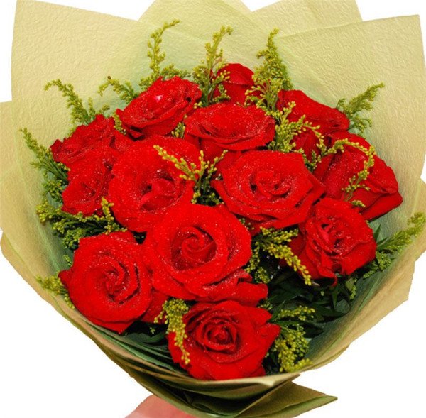 13朵玫瑰代表什么意思,暗恋与友谊长存- 花语网