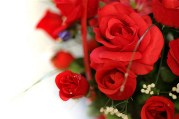 9朵玫瑰花语是什么，9朵玫瑰花语代表长久的爱(2)