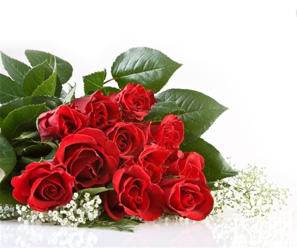 16朵玫瑰代表什么意思，多变不安的爱情