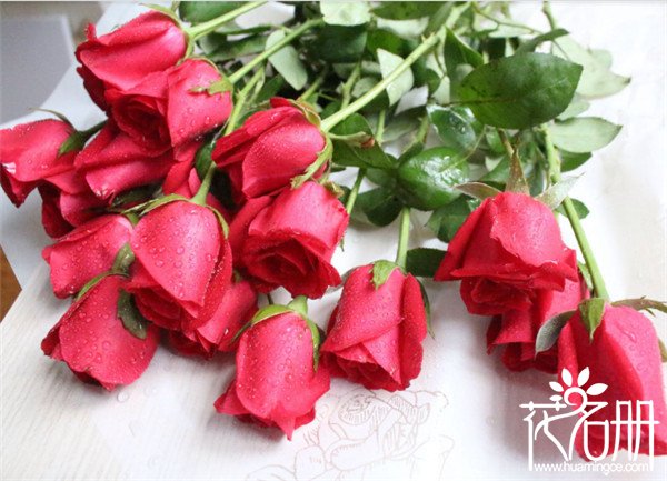 16朵玫瑰代表什么意思，多变不安的爱情