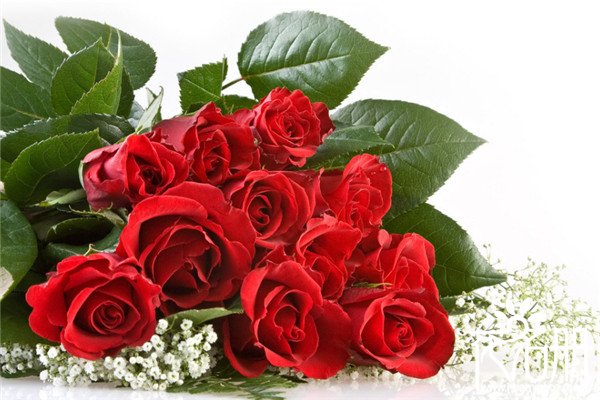 29朵玫瑰代表什么意思，爱到永远