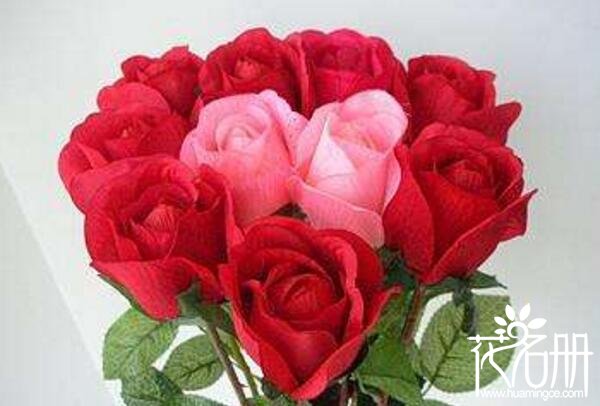 向女神表白送几朵玫瑰花 玫瑰花数量不同含义不同(11朵一心一意)