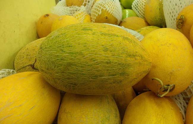 哈密​​瓜有哪些品种？ 六个常见的哈密瓜种类的图片