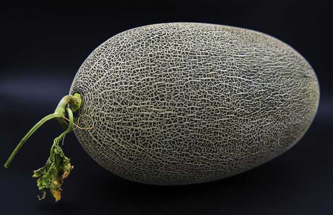 哈密​​瓜有哪些品种？ 六个常见的哈密瓜种类的图片